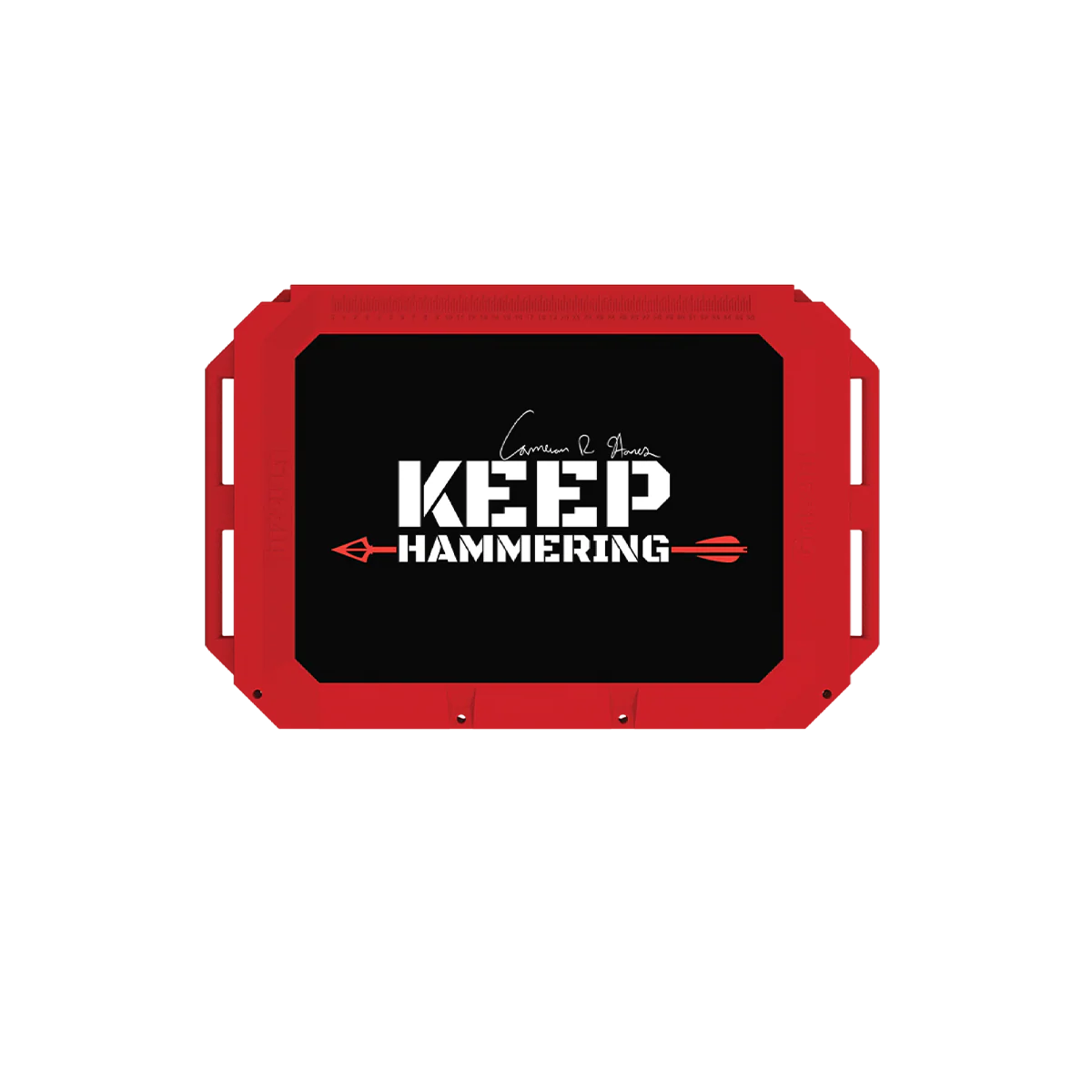 Keep Hammering Grizzly 450 - Image 9