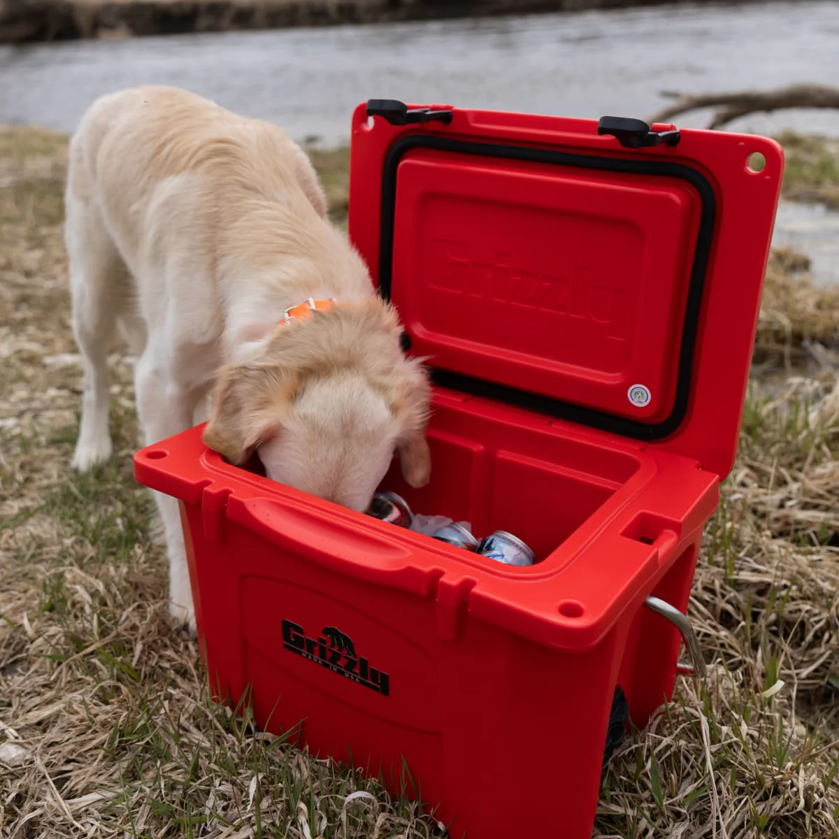 Toby Keith's Premium Grizzly 20 - Image 4