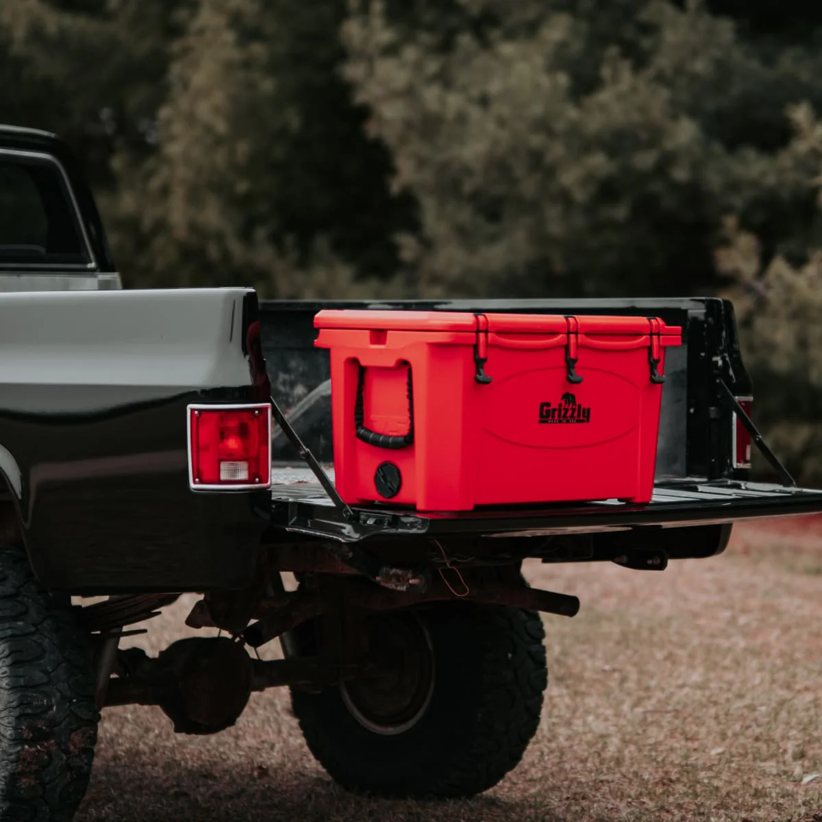 Toby Keith's Premium Grizzly 75 - Image 5